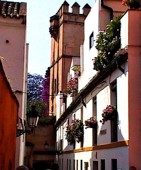 Seville - Street Near Alcazar